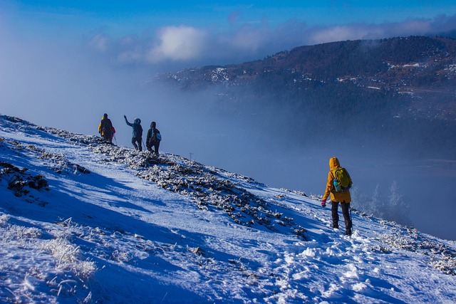 Szelki trekkingowe: Między stabilizacją a swobodą – jak znaleźć idealny balans (i nie zwariować po drodze)