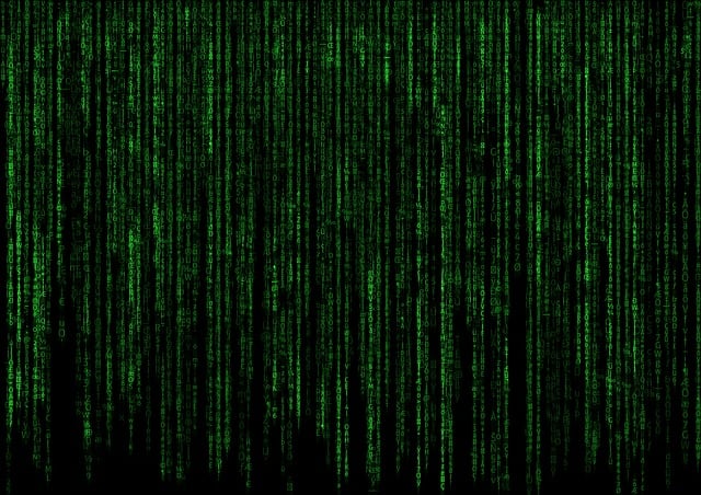 **Archiwa cyfrowe vs. tradycyjne w ochronie "genetycznego DNA": Które są bardziej efektywne i dlaczego?** - 3 2025