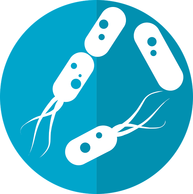 **Mikrobiom jelitowy a skuteczność pracy psów pasterskich: analiza korelacji między składem flory bakteryjnej a wytrzymałością i koncentracją.** - 7 2025