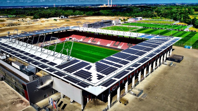 Psy pasterskie w standardach FCI: Między teorią a brutalną rzeczywistością hodowli - 7 2025
