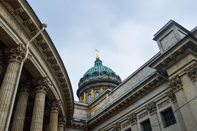 Zakodowane w Spojrzeniu: Jak Behawior Rasowy Psów Wpływa na Relacje Międzygatunkowe w Kontekście Terapii Assisteowanej z udziałem Zwierząt (TAA) - 1 2025